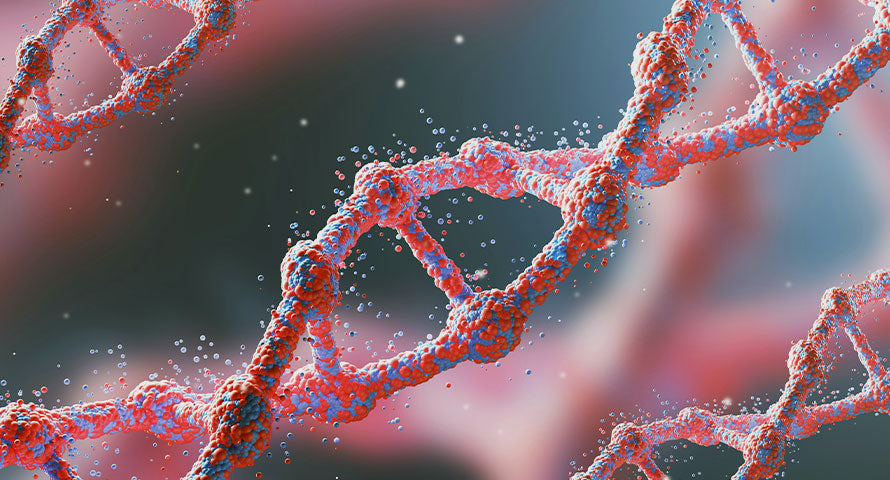  Image of a DNA double helix structure, visually representing the intricate twists and turns of genetic material with a clear depiction of the connected base pairs.