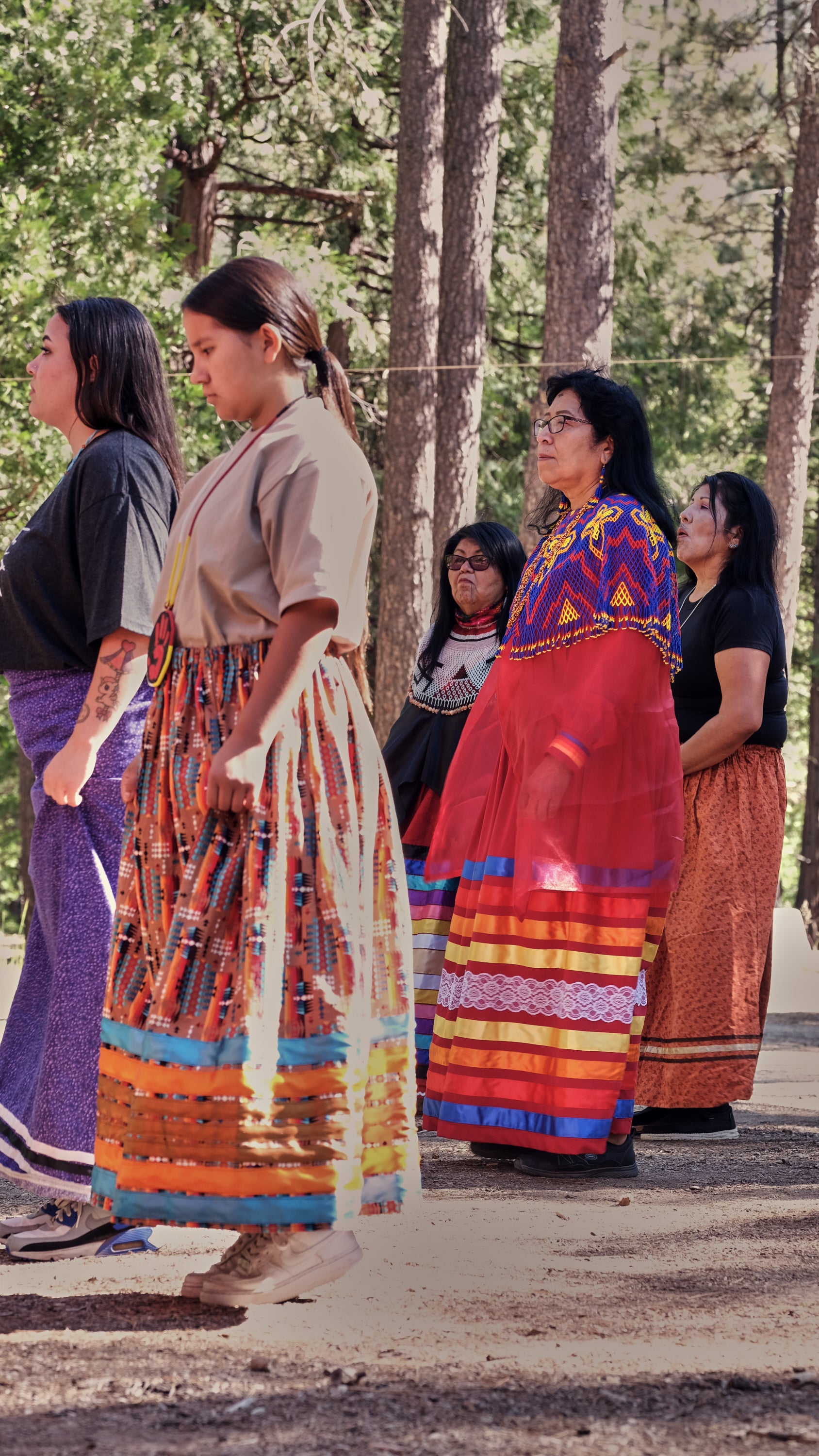  The Cahuilla Culture 