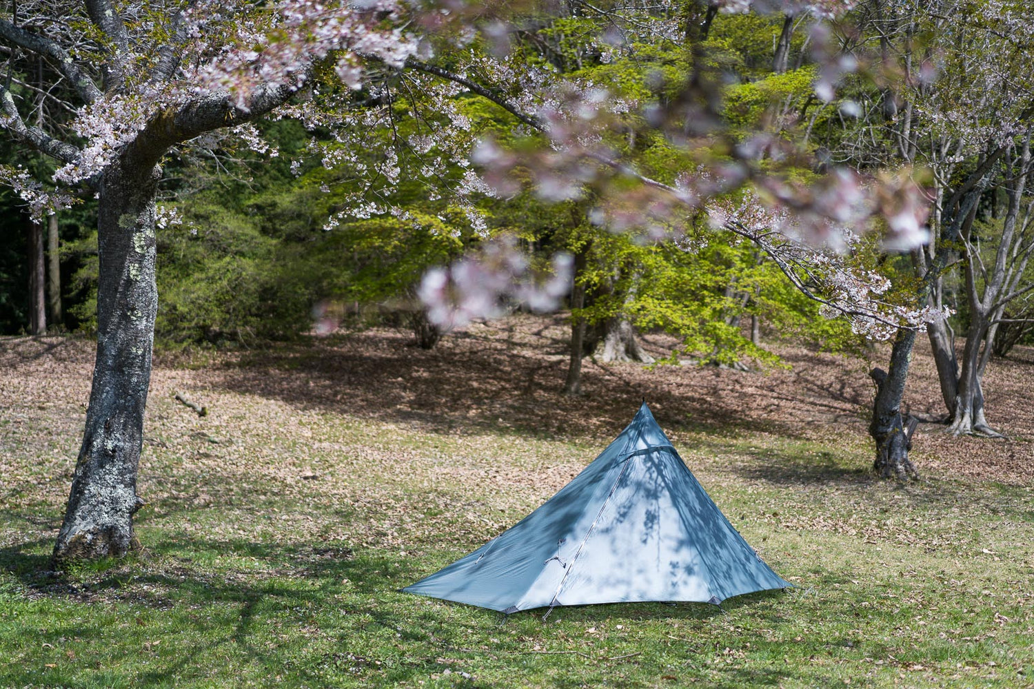 Pre Tents Soloist プレテント ソロイスト justoffice.co.in