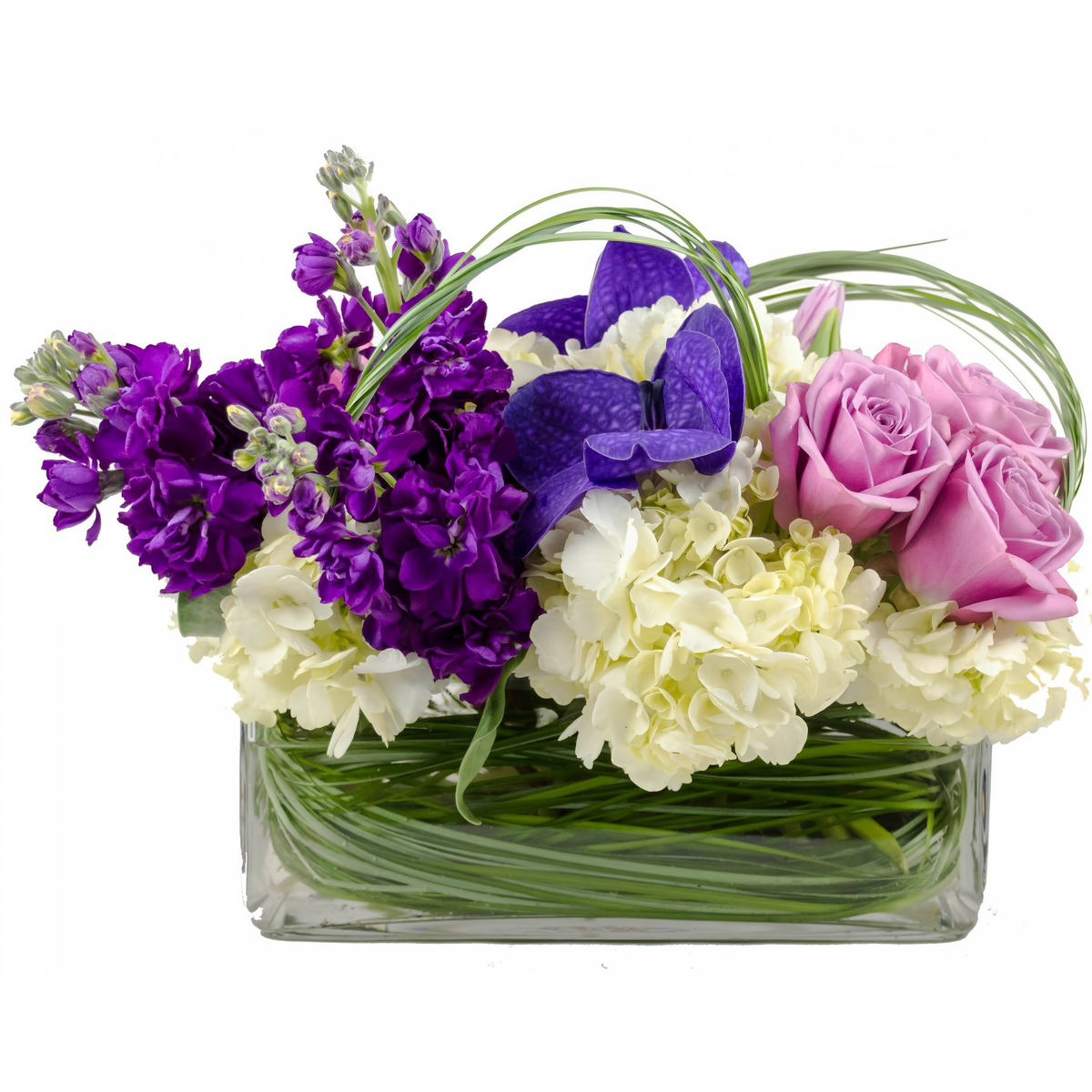 Fabulous Days to Come | Unique Flowers For Delivery In The Bronx