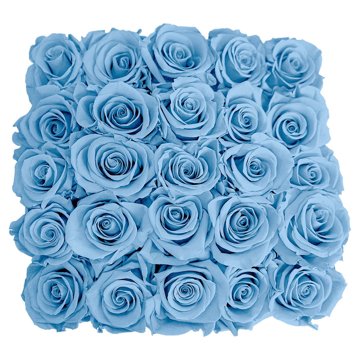 Preserved Roses Small Box | Light Blue | Unique Flowers For Delivery In The  Bronx