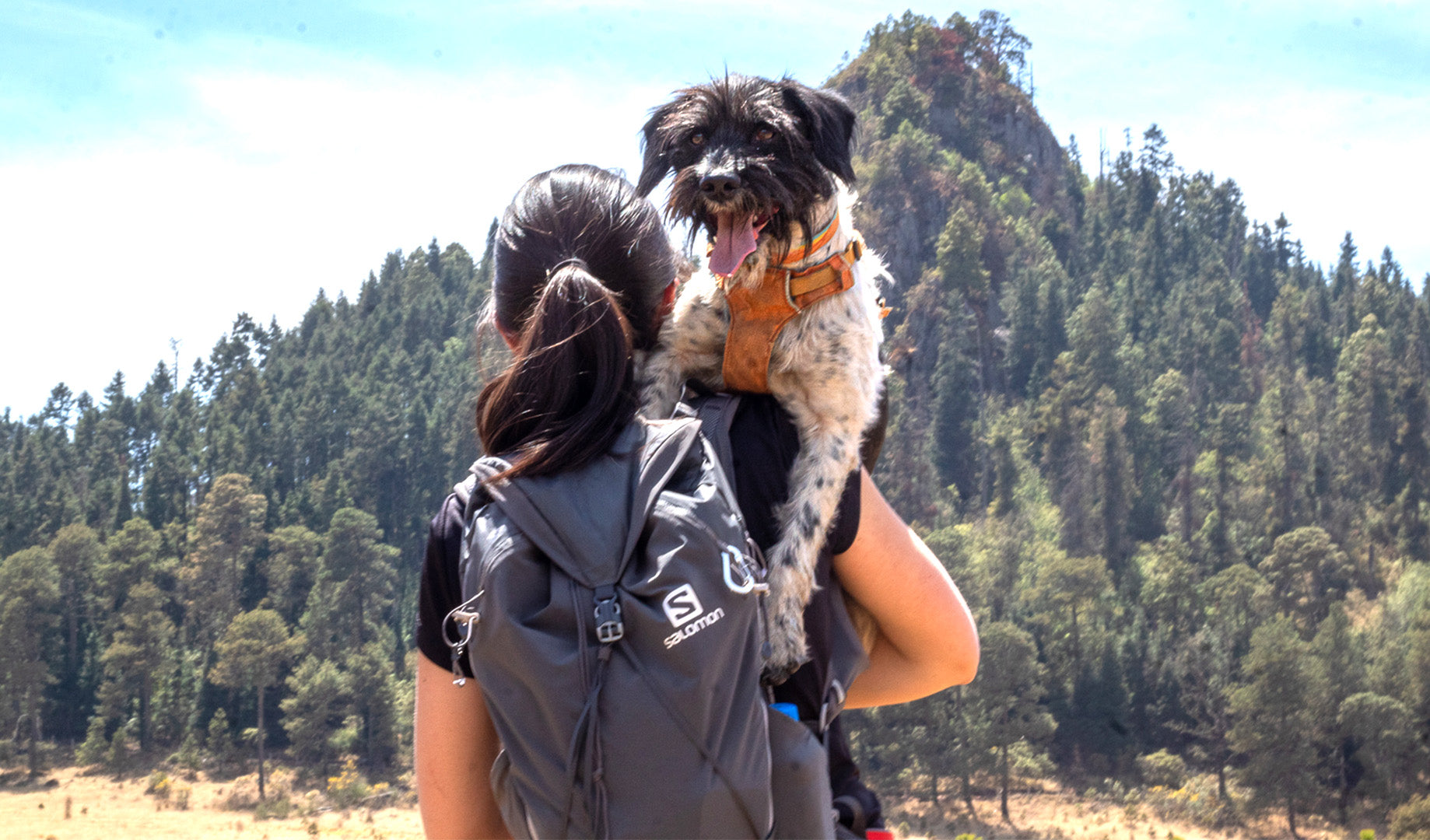 Rutas al aire libre para disfrutar con tu perro – Salomon MX