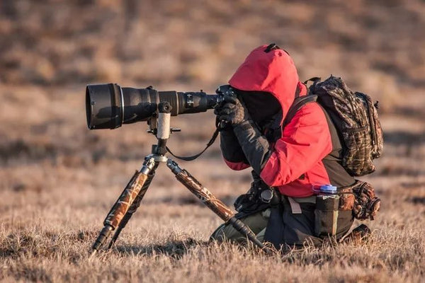 birding photograph