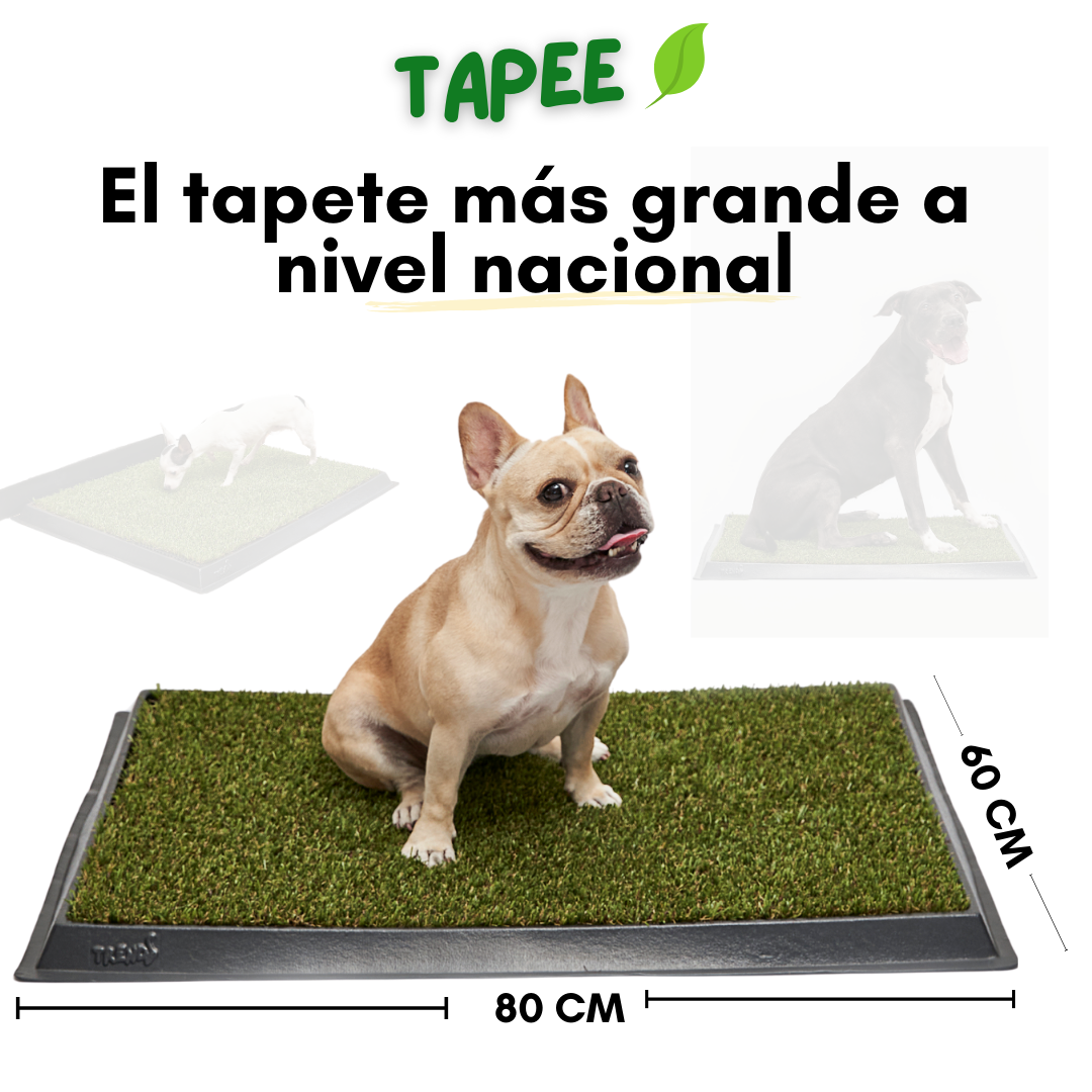 Tapete-Sanitario-perros-tapete-para-orinar-mascotas-tapeteparaperros-Eltapetemasgrandeanivelnacional