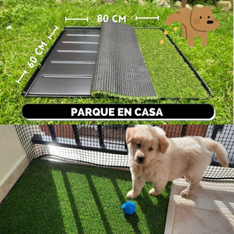 Tapete sanitario para perros Bogotá – TrendsColMx