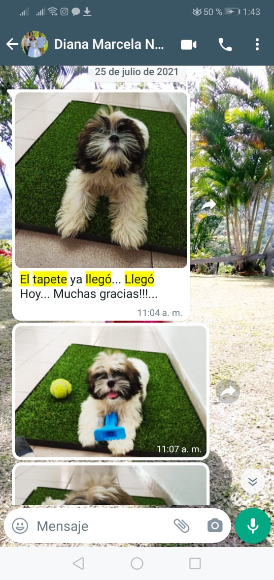 Tapete sanitario para perros Bogotá – TrendsColMx