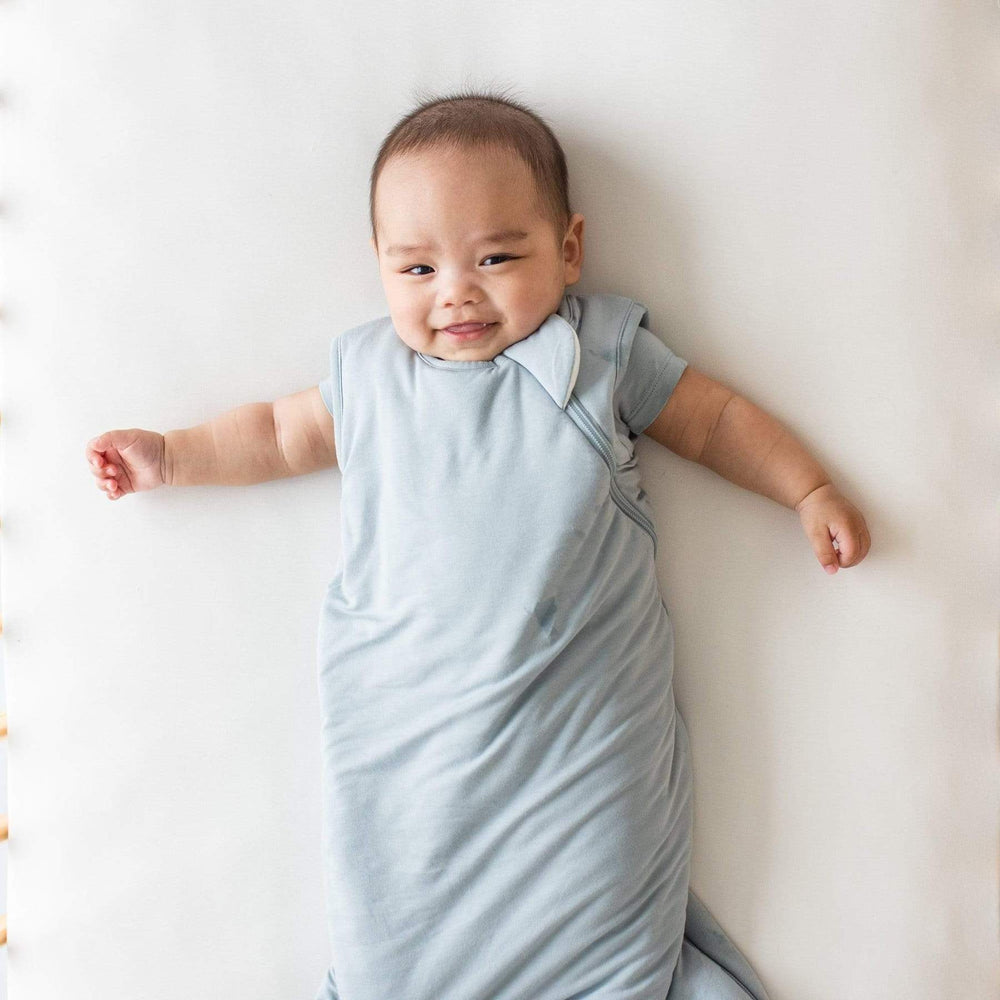 Kyte Baby Sleep Bag 1.0, Cloud