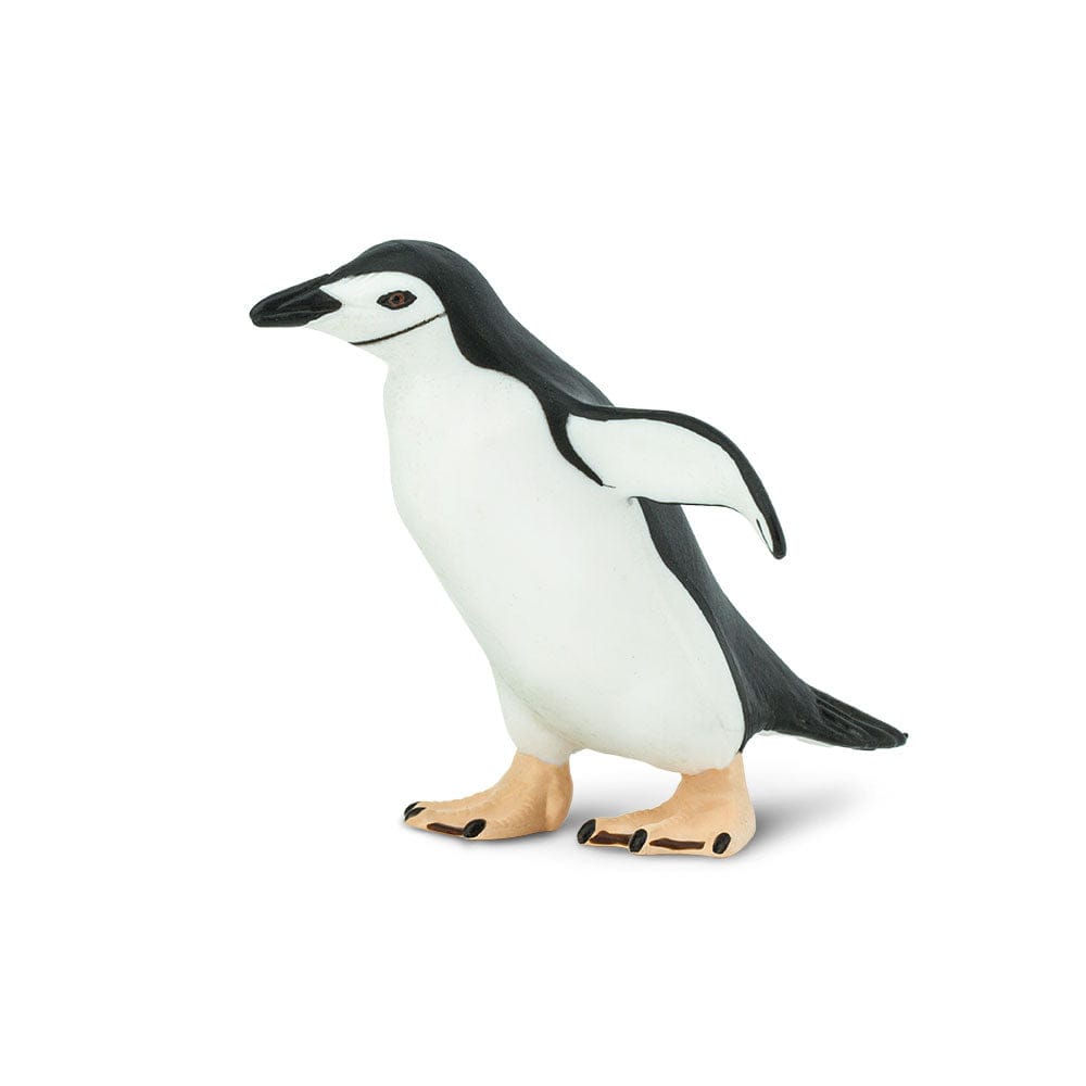 Rockhopper Penguin Toy | Safari Ltd