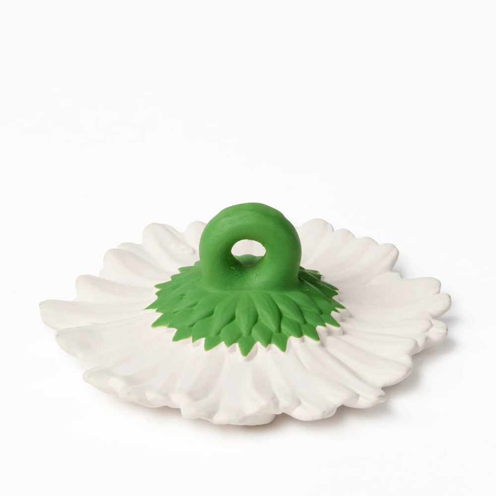 Oli & Carol Kendall The Kale Natural Rubber Teether – Babble Wrap