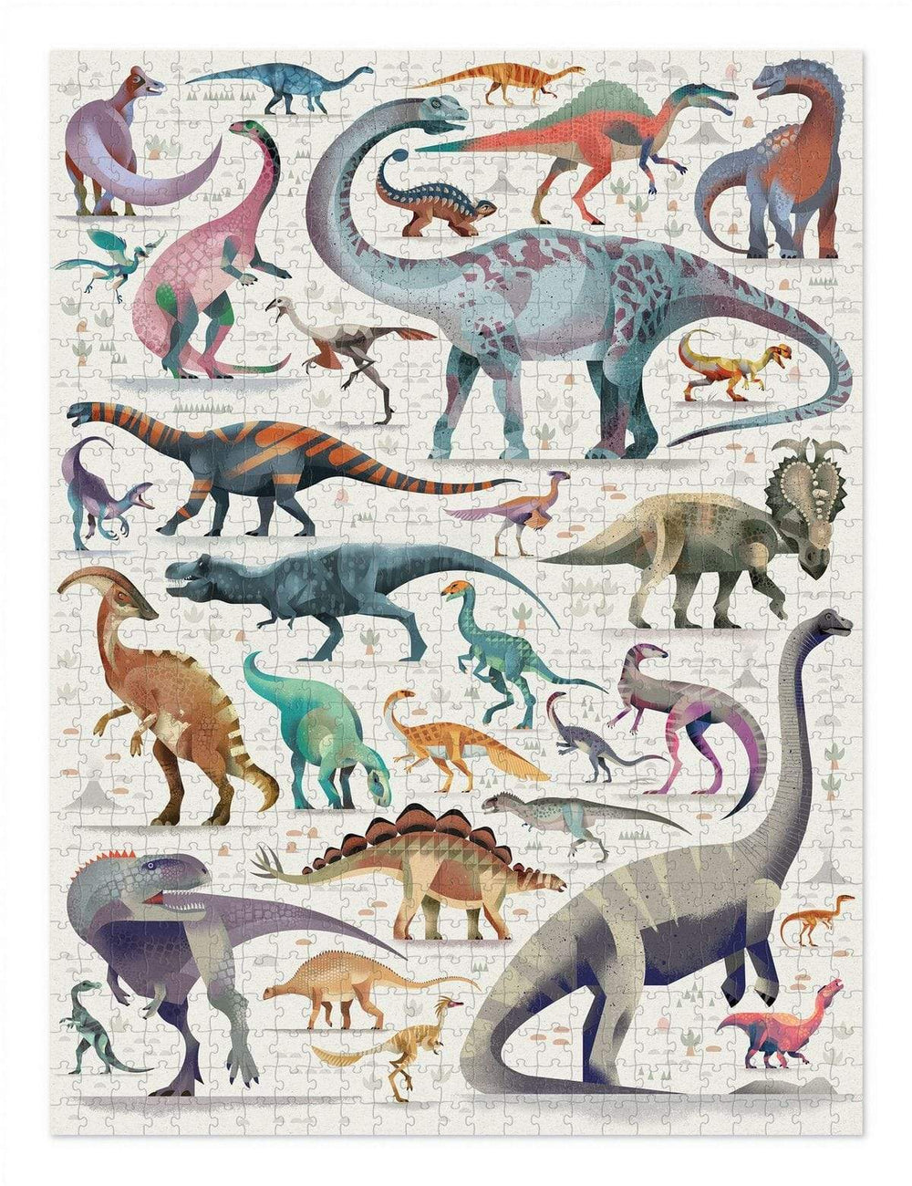 Dino - 4 puzzles évolutifs Dinosaure