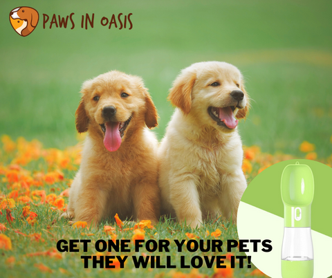 https://cdn.shopify.com/s/files/1/0552/3134/8932/files/GET_ONE_FOR_YOUR_FURBABIES._They_ll_love_it_480x480.png?v=1616413392