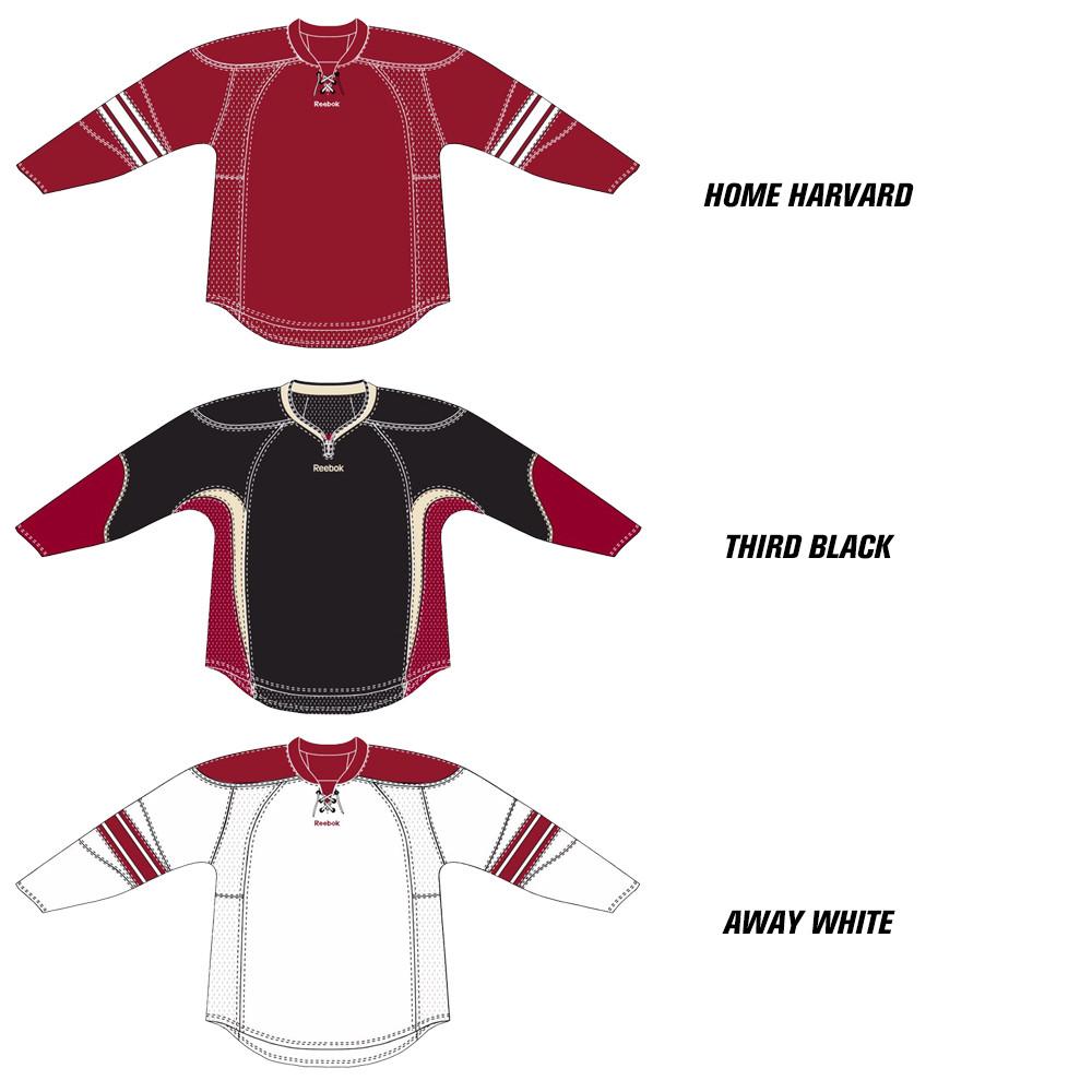 arizona coyotes jersey 2015