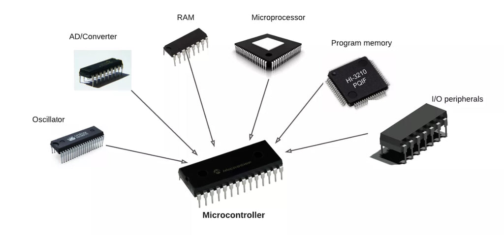 Microcontroller parts (anatomy)