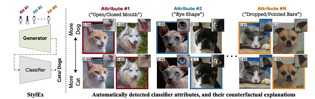 AI model recognizes cats and dogs through training