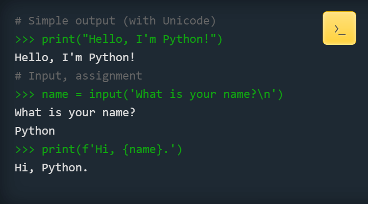 Python - one of the easiest coding languages for kids to learn