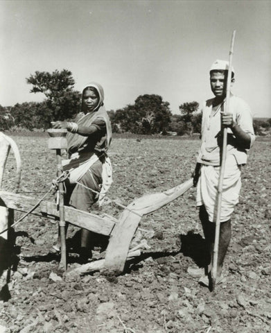 Paysans indiens labourant et semant un champ avec un bijani en 1966