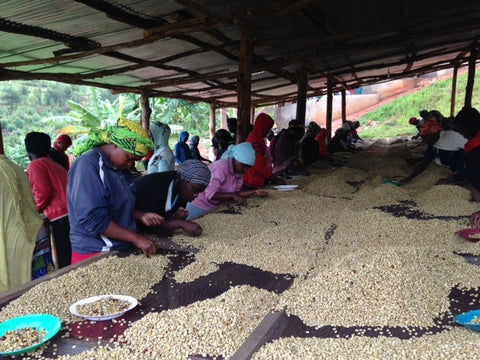 Ruanda Coffeefarmers