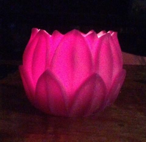 lotus water lanterns