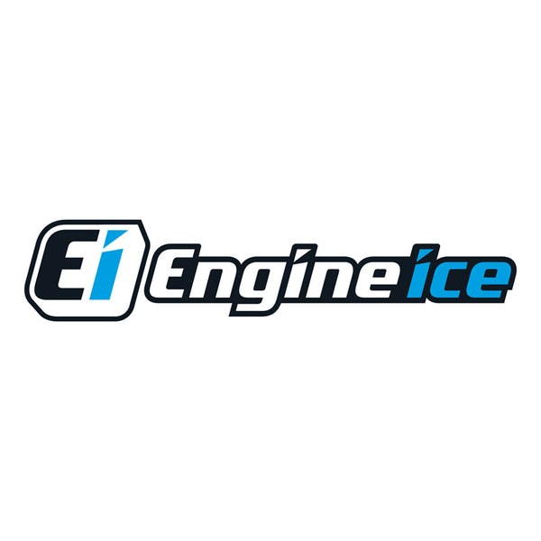 engine ice autozone