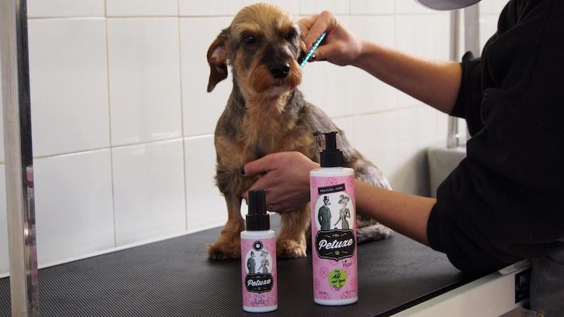 shampoing pour chien aux ingrédients naturels