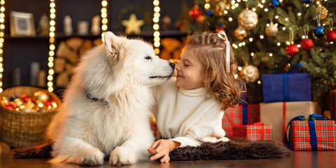 navidad mascotas