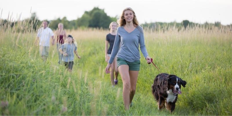 chiens en été