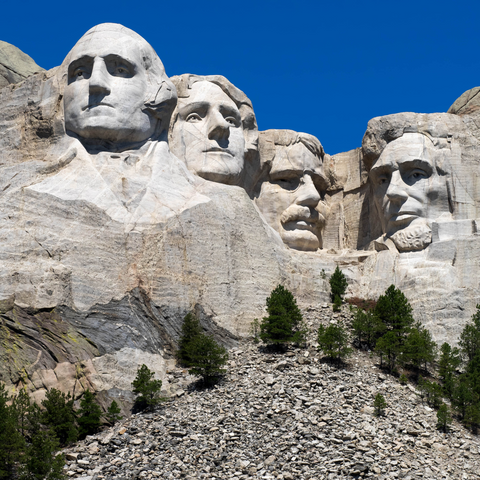 mont rushmore