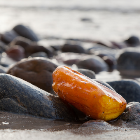 ambre sur plage