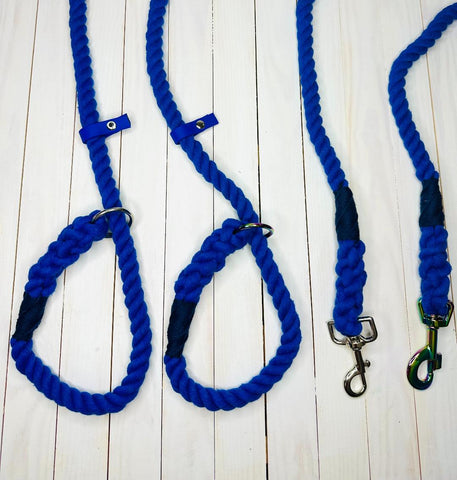 Four blue rope leads, 1 slip lead with chrome hardware, 1 slip lead with neochrome hardware, 1 clip lead with chrome hardware, 1 clip lead with neochrome hardware.