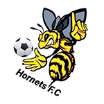 Hornets FC logo