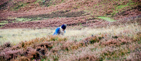 woman out in the scottish countryside