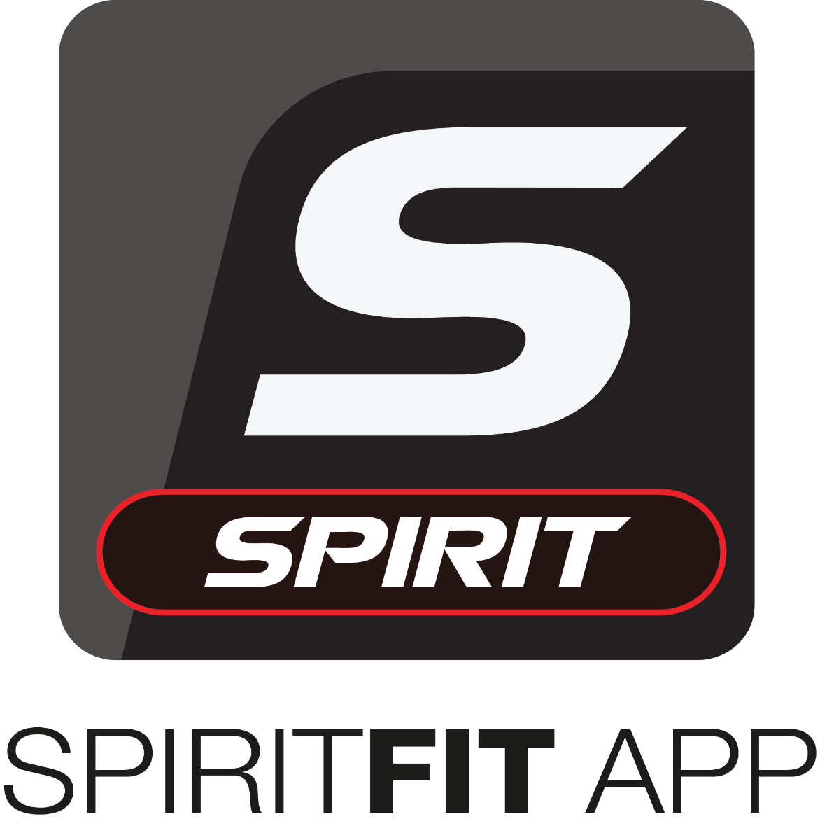 Spirit Fitness Commercial Air Bike (AB900)