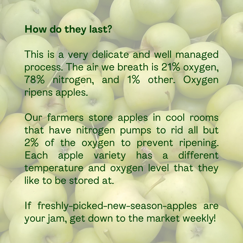 Text over a bunch of green apples