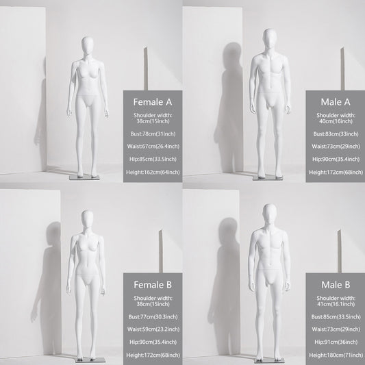 Jelimate Female Male Full Body Sitting Standing Flexible Mannequin