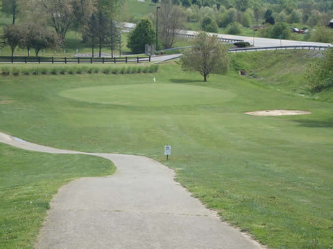 Green view from above