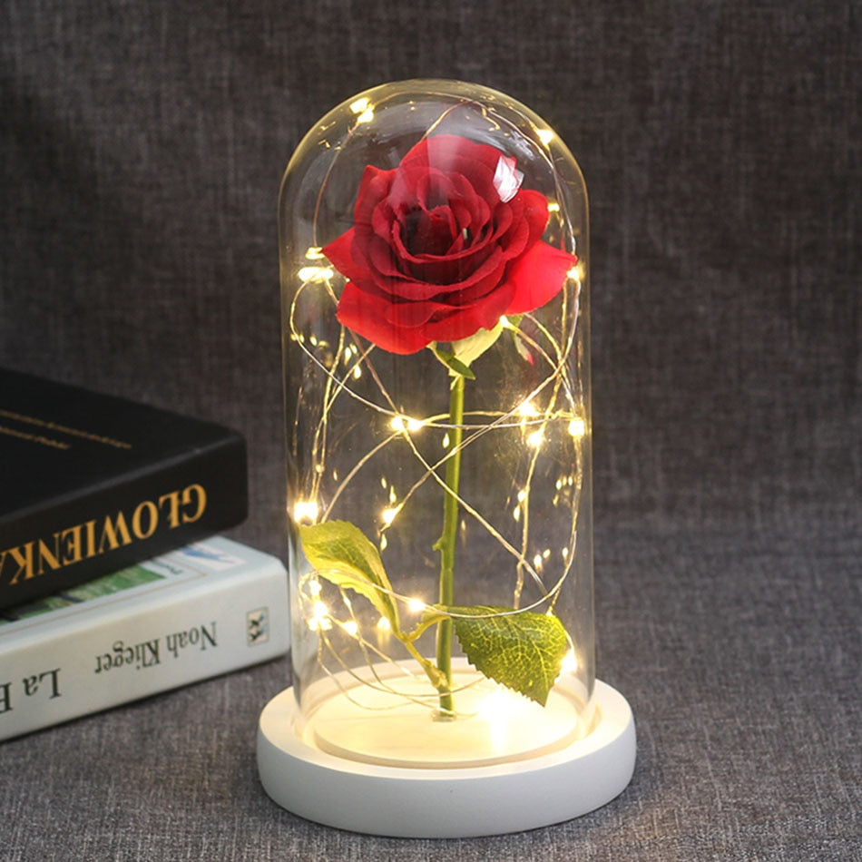 Beautiful Eternal Rose Eternelle LED Light Beauty And The Beast Rose I –  Trgovina Timto