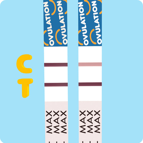 Carrot Top Drugs on X: Getting pregnant requires following the right  steps. Knowing the best time to have intercourse is one step in the right  direction, hence the need for PREDICTE OVULATION