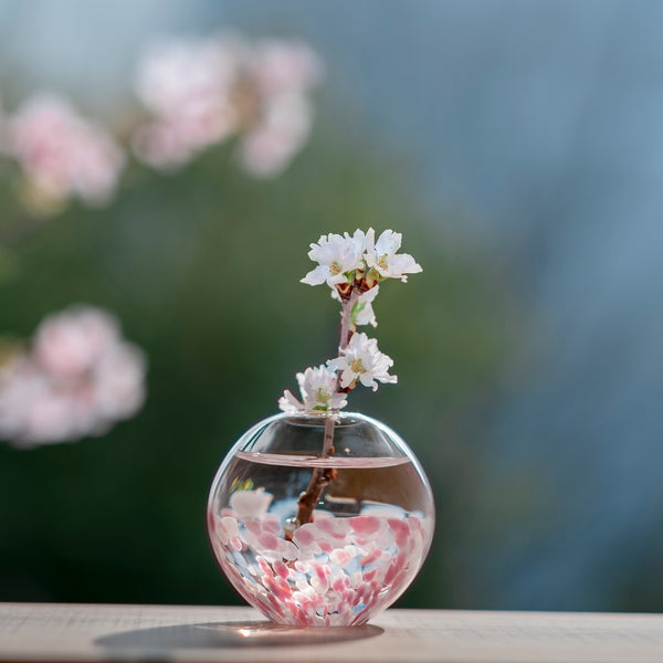 津軽びいどろ さくらさくら 一輪挿し 桜と菜の花 | おしゃれなガラス