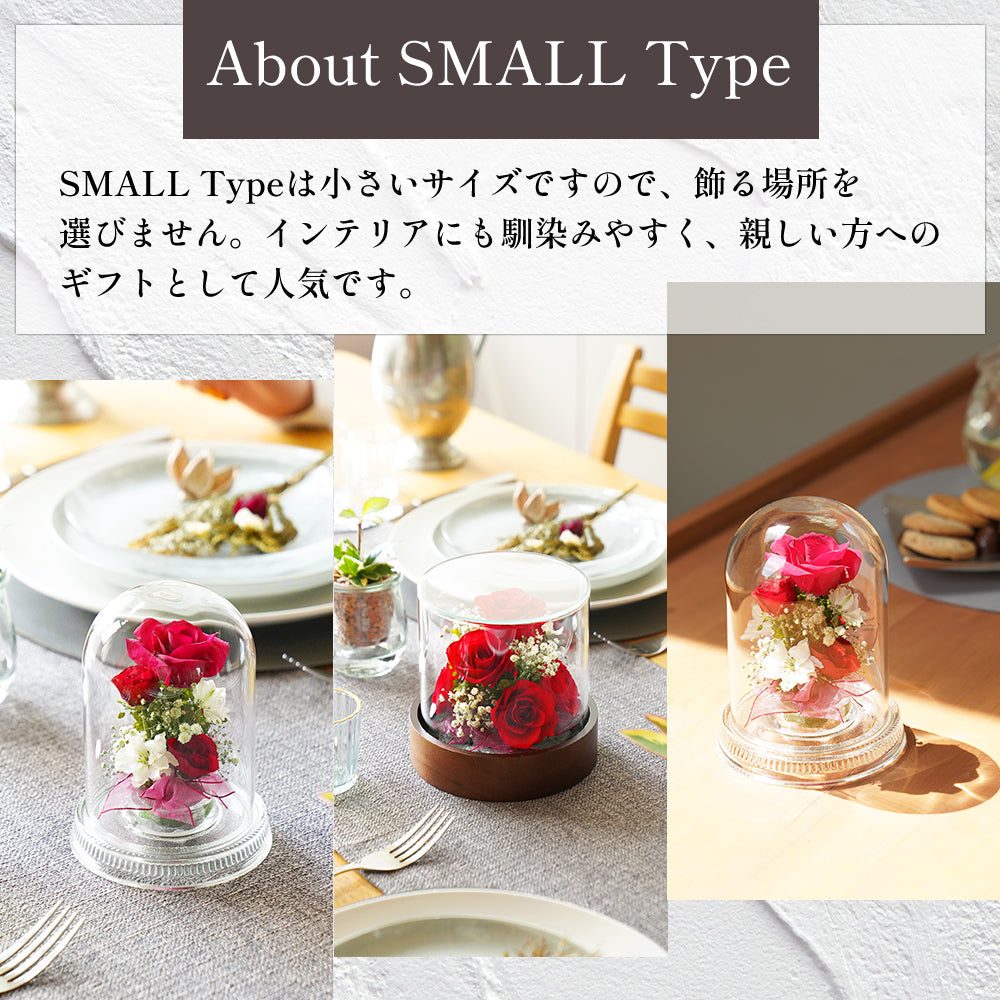 About  SMALL  Type