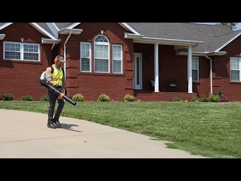 STIHL BR 350 Backpack Blower - Reynolds Farm Equipment