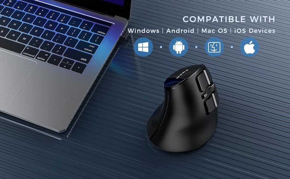 IWG-SGM01 Ergonomic Mouse