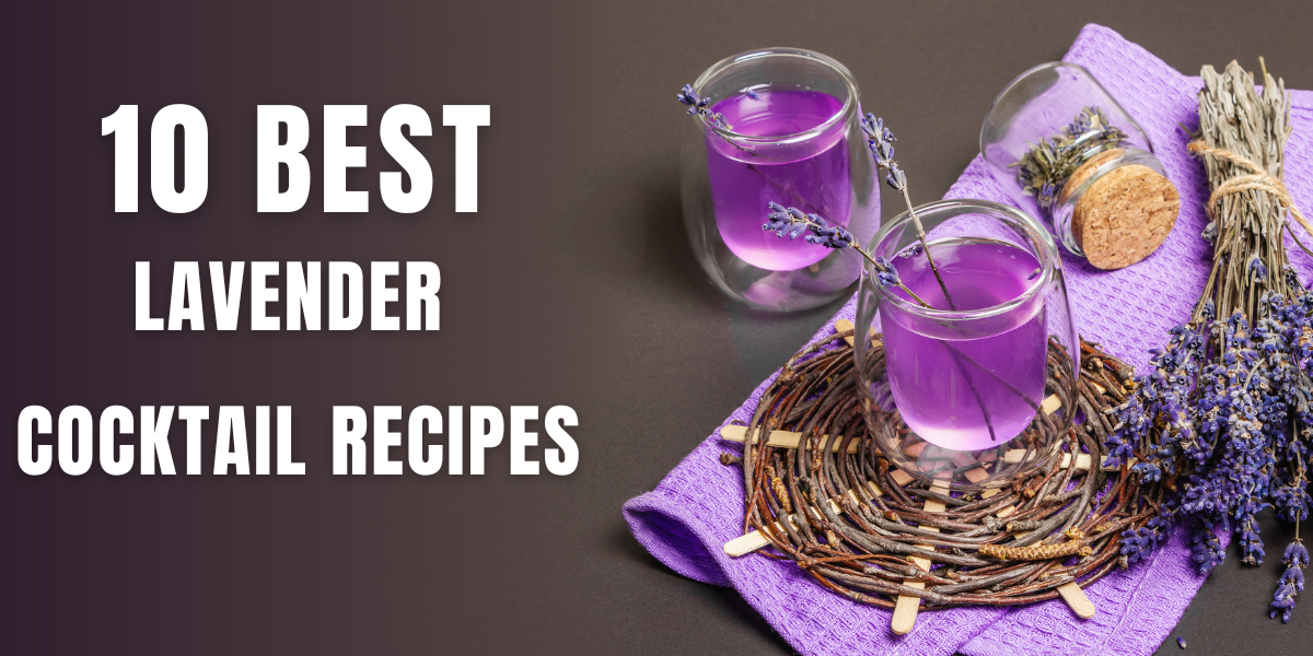 Lavender Cocktail Recipes