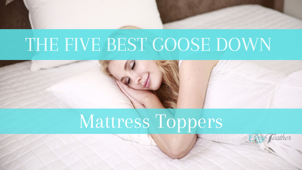 wii goose down mattress topper relieve pain