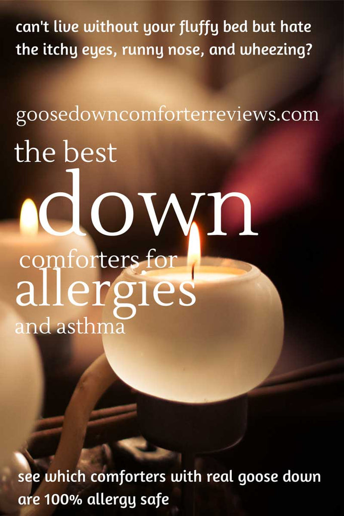 best down comfortesr allergy safe asthma