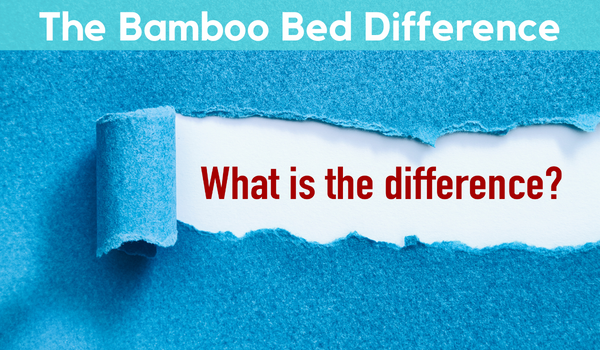 Differences in the bamboo bed