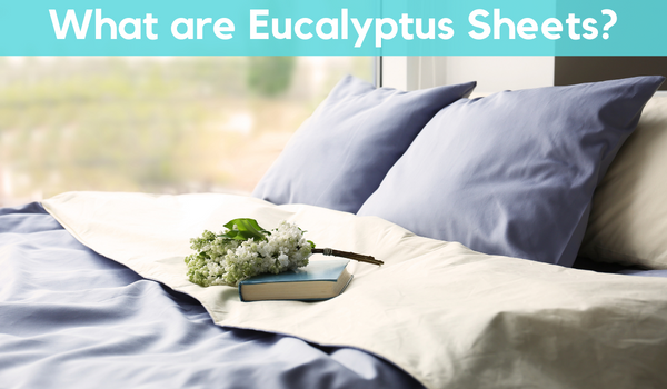 Eucalyptus flower over the bed sheets