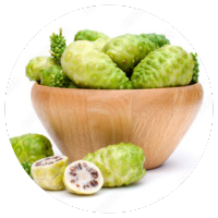 Noni Fruit