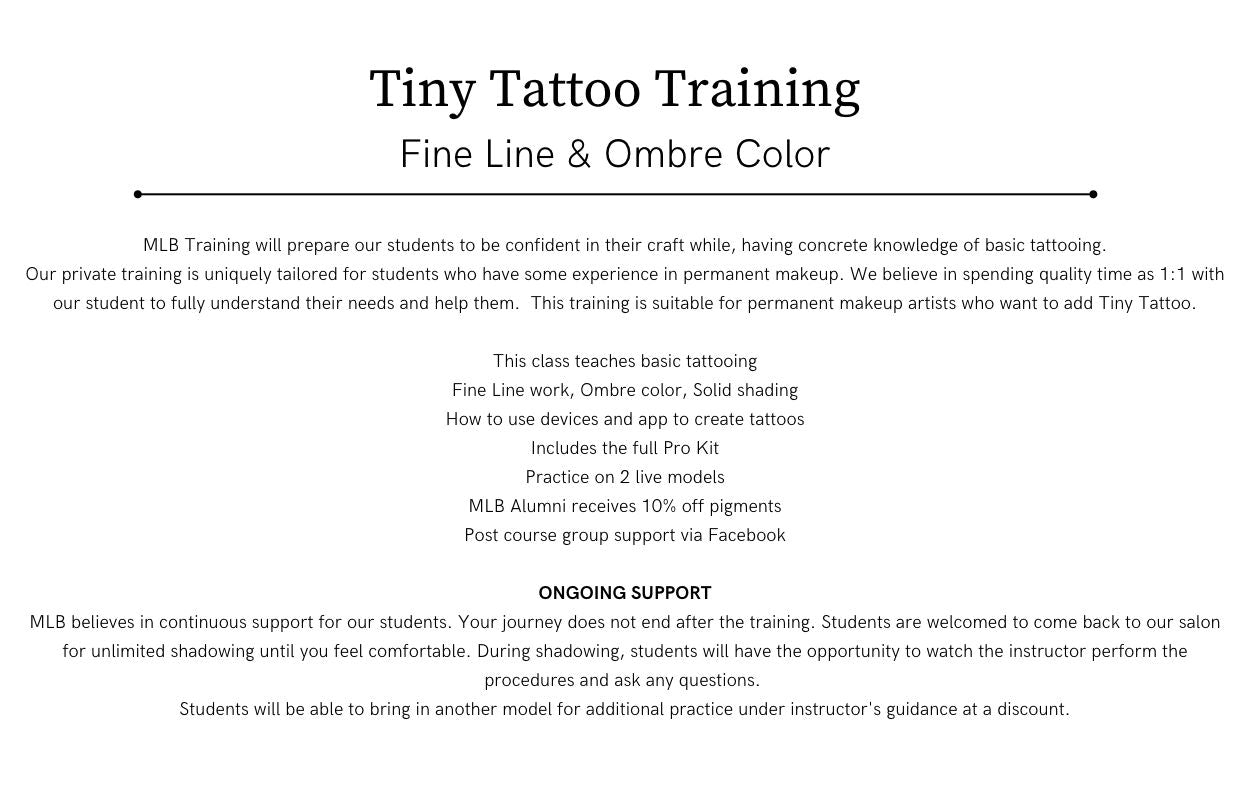 Tiny Tattoo Training Course  Plush Beauty Academy