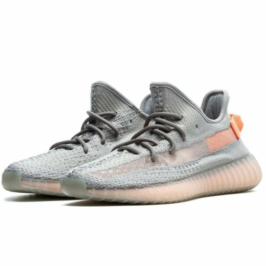 adidas yeezy 350 v2 true form