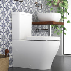 Caroma Luna Back to Wall Toilet - Bottom Inlet - Default Title